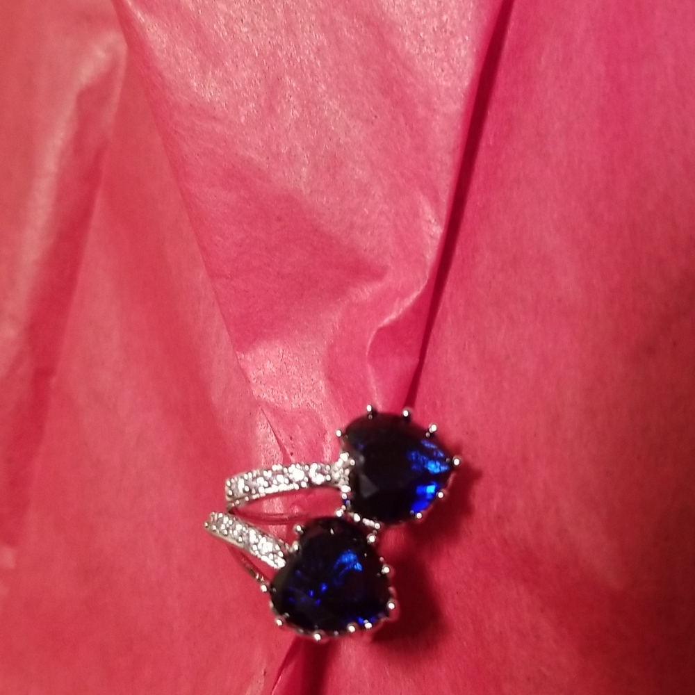 Women's Dark Blue Hearted Earings.